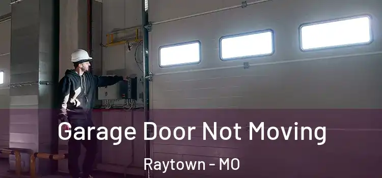  Garage Door Not Moving Raytown - MO