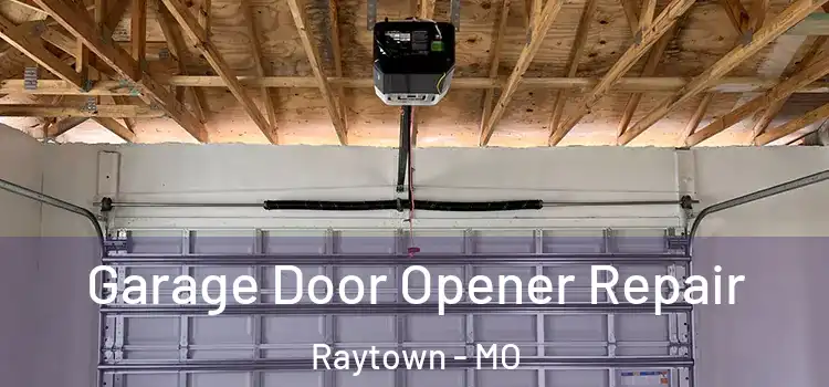  Garage Door Opener Repair Raytown - MO
