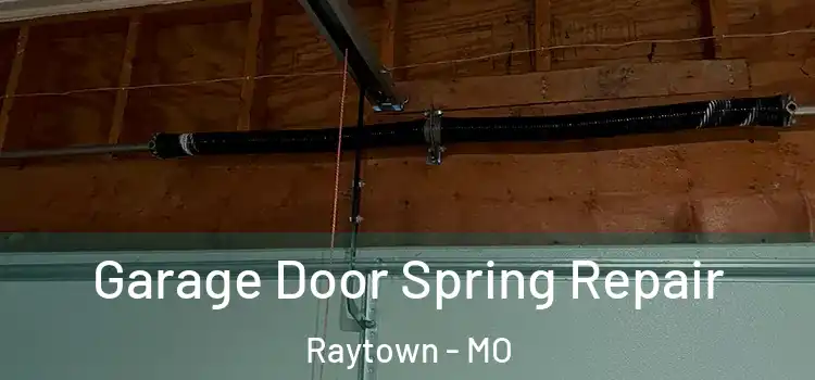  Garage Door Spring Repair Raytown - MO