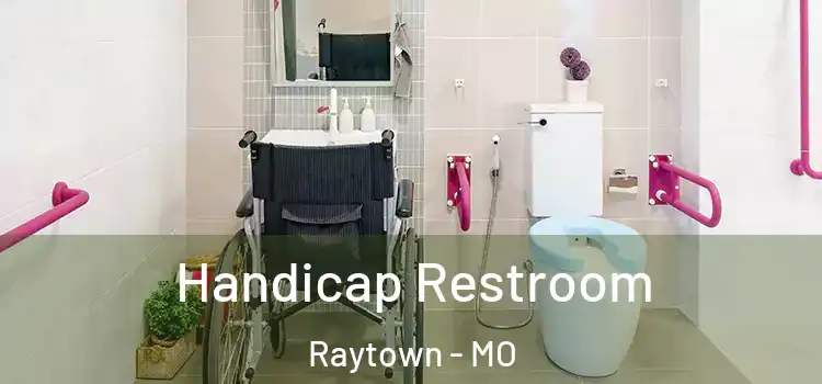  Handicap Restroom Raytown - MO