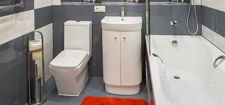 Hansgrohe Shaving Mirror Raytown
