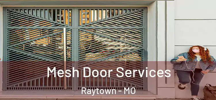  Mesh Door Services Raytown - MO